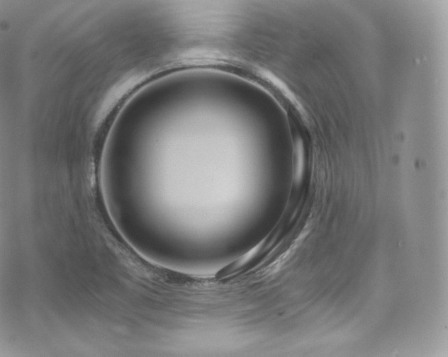 X0000073921461200608111210