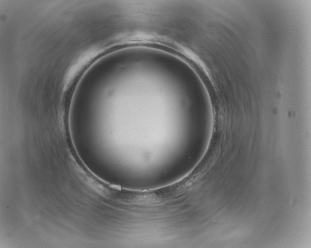 X0000073921464200608111210