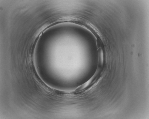 X0000073921465200608111210