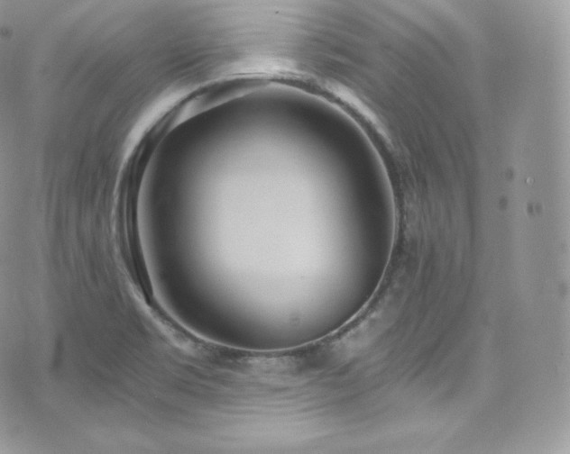 X0000073921469200608111210