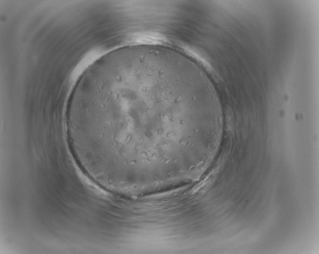 X0000073921471200608111210