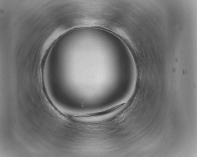 X0000073921472200608111210