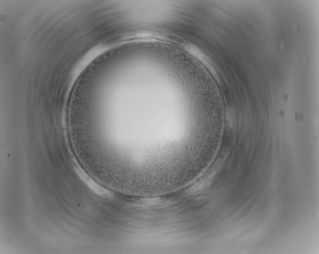 X0000073921482200608111210