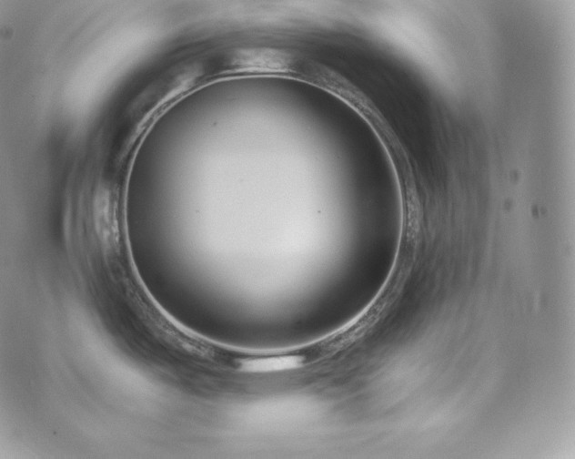 X0000073921487200608111210