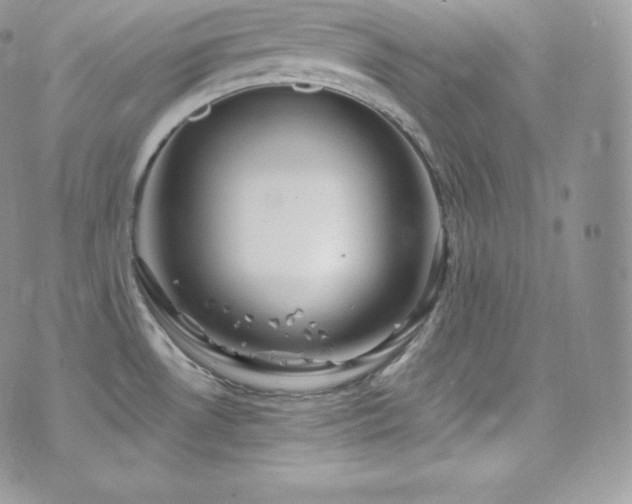 X0000073921530200608111210