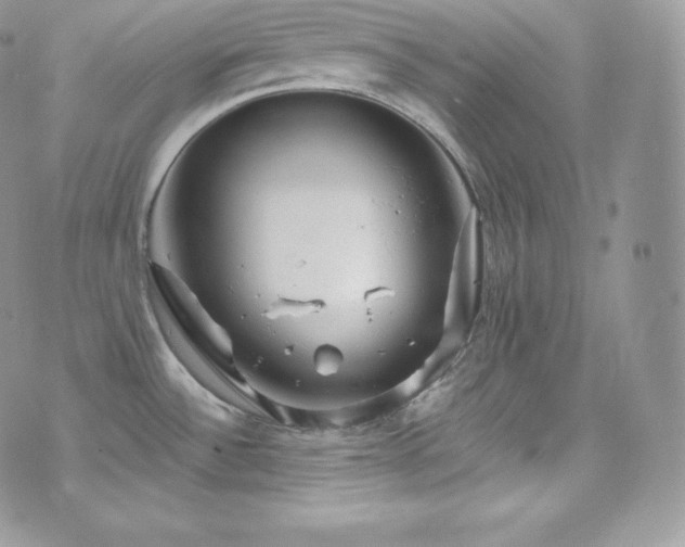 X0000073921532200608111210