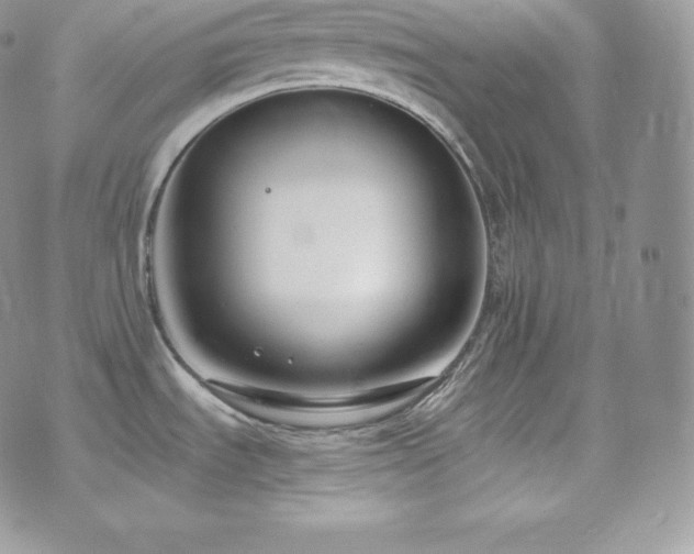 X0000073921535200608111210