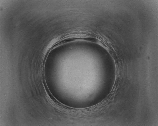 X0000073920003200608181101