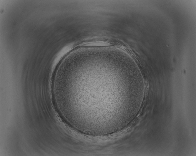 X0000073920006200608181101