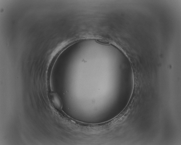 X0000073920008200608181101