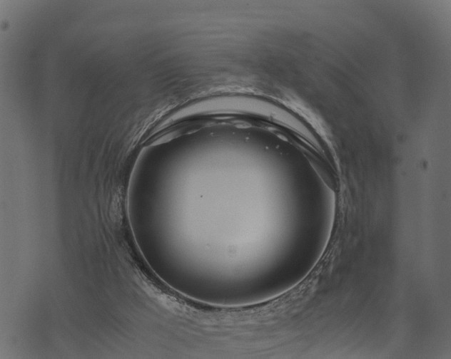 X0000073920009200608181101