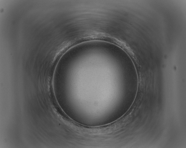 X0000073920010200608181101