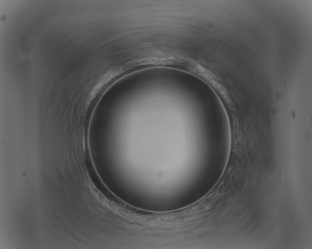 X0000073920011200608181100