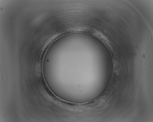 X0000073920012200608181100