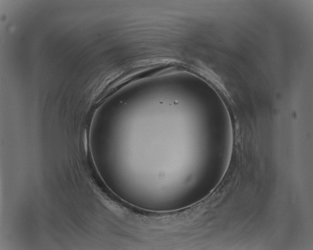 X0000073920013200608181100