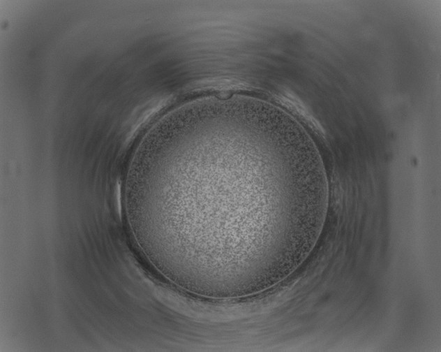 X0000073920014200608181100