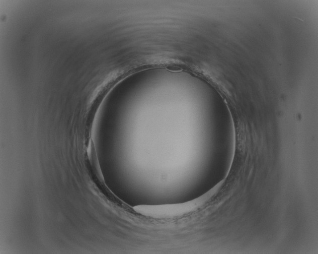 X0000073920015200608181100