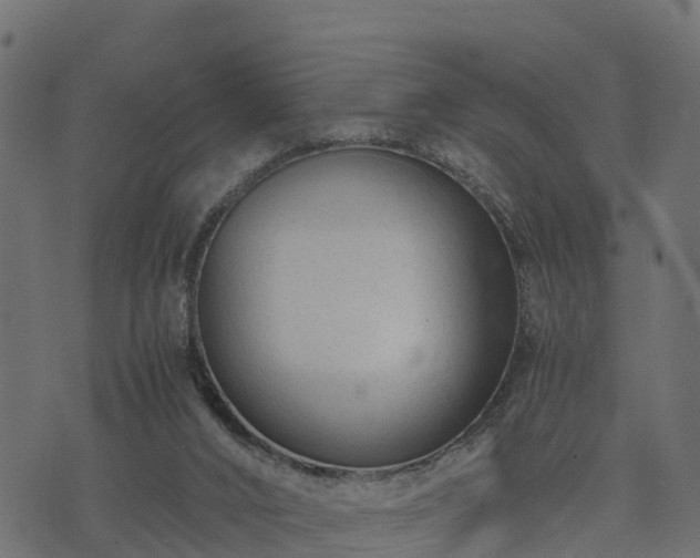 X0000073920016200608181100