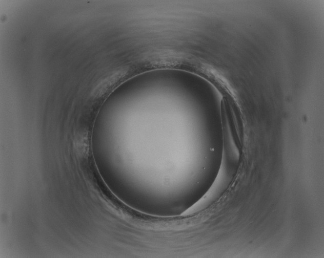 X0000073920017200608181100