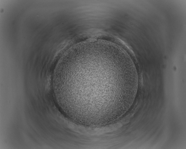 X0000073920018200608181100