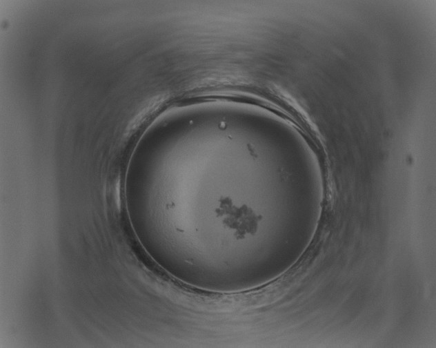 X0000073920019200608181100