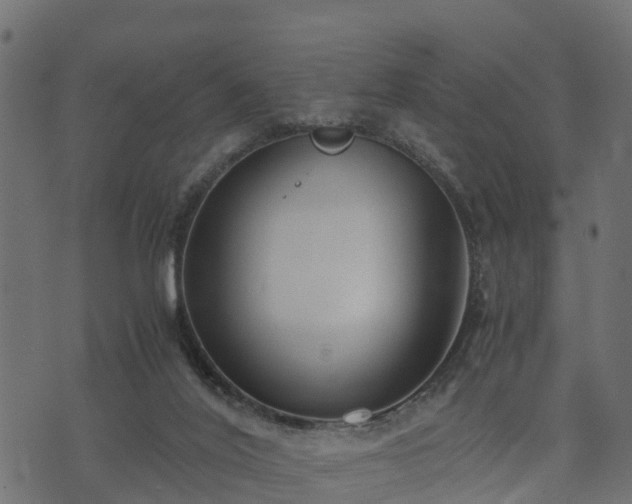 X0000073920020200608181100