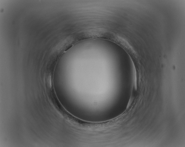 X0000073920021200608181100