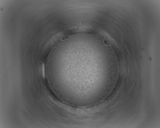 X0000073920022200608181100