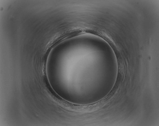 X0000073920023200608181100