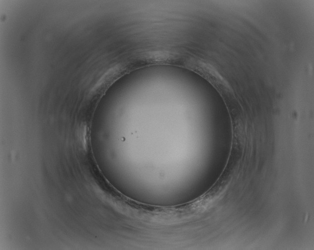 X0000073920024200608181100