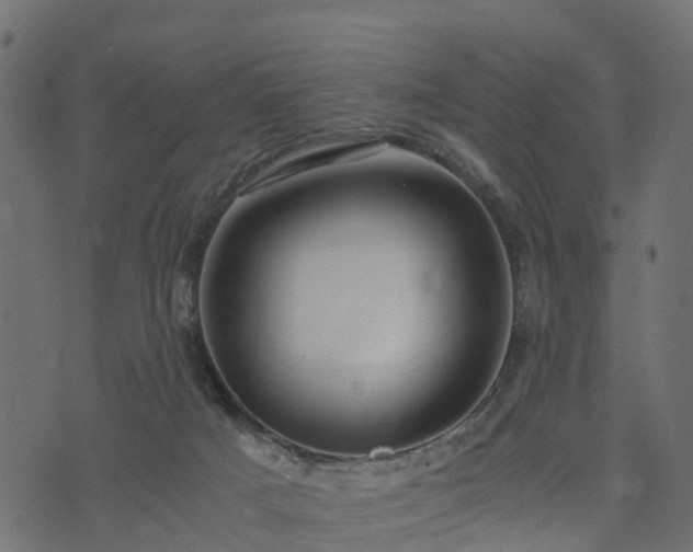 X0000073920025200608181100