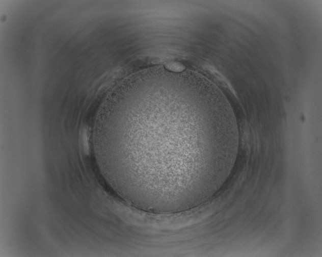 X0000073920026200608181100