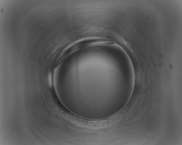 X0000073920027200608181100