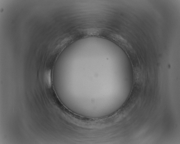 X0000073920028200608181100