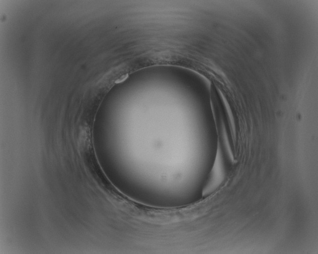 X0000073920029200608181100