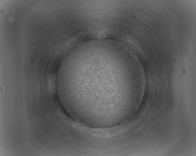 X0000073920030200608181100