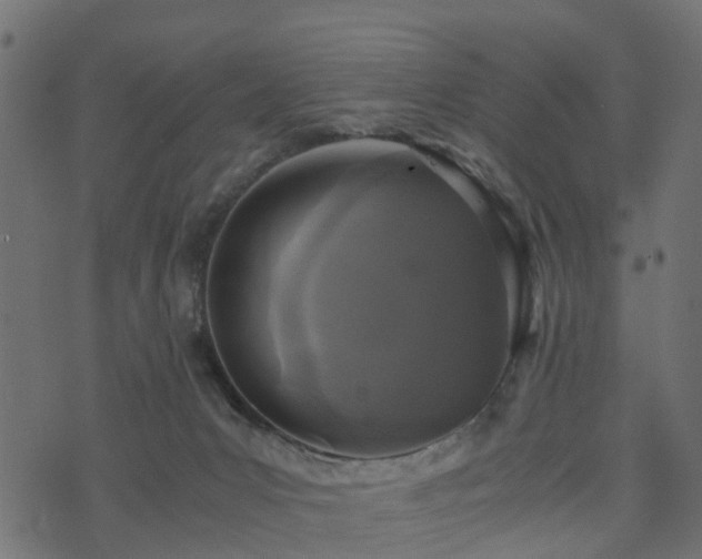 X0000073920031200608181100