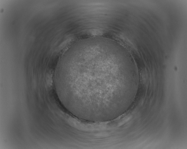 X0000073920032200608181100