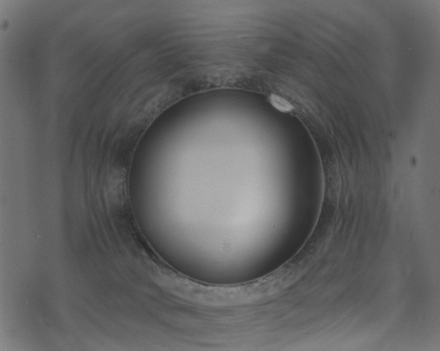 X0000073920034200608181100