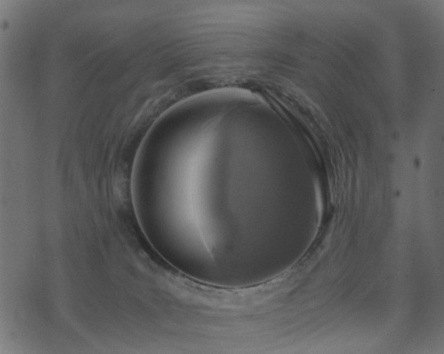 X0000073920035200608181100