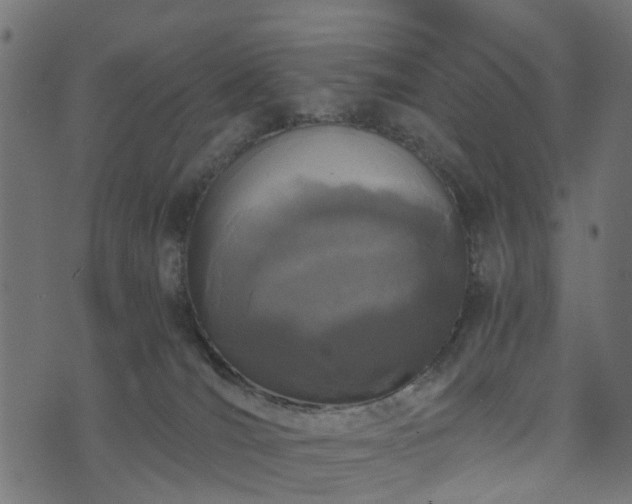 X0000073920036200608181100