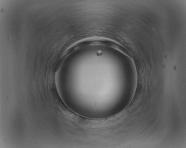 X0000073920037200608181100