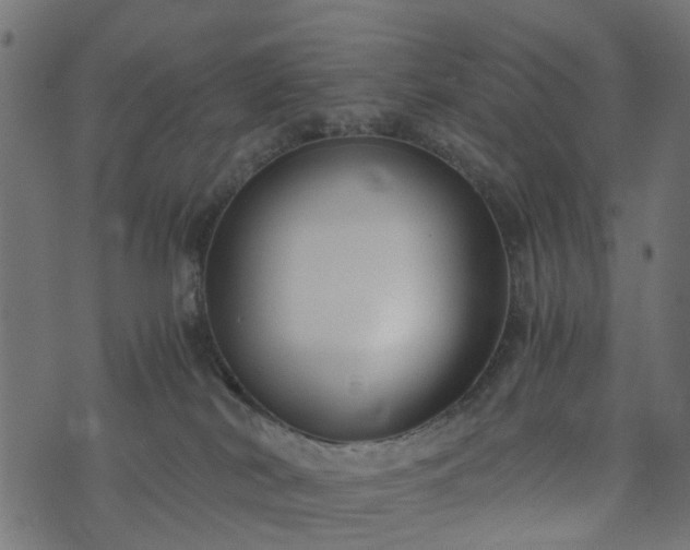 X0000073920038200608181100