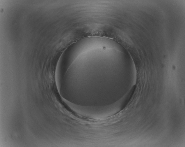 X0000073920039200608181100