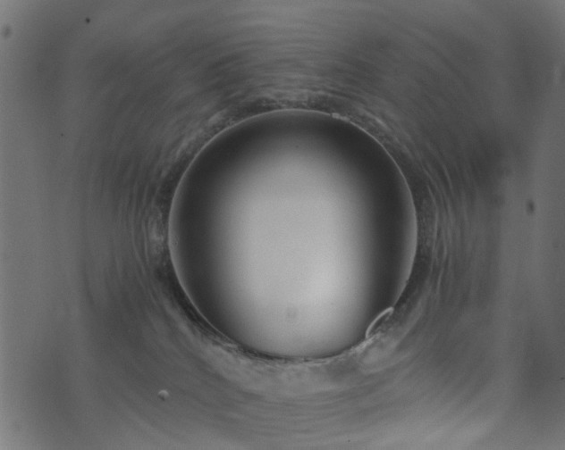 X0000073920040200608181100