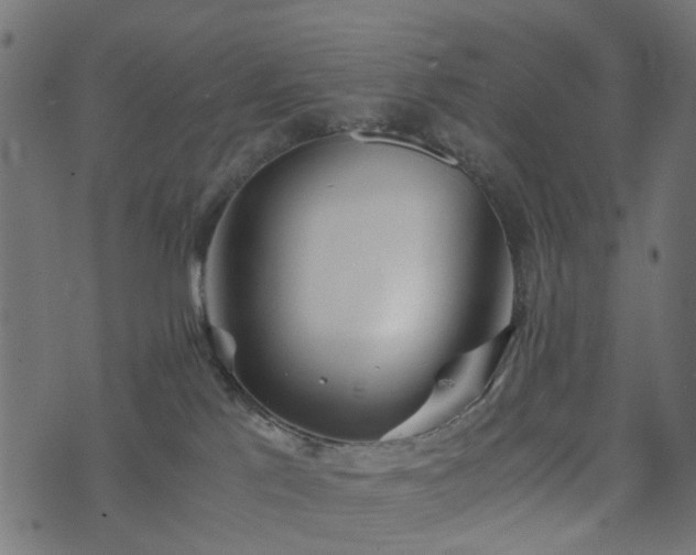 X0000073920041200608181100