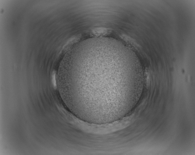 X0000073920042200608181100