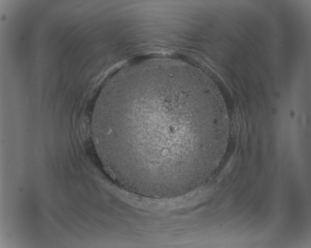 X0000073920043200608181100