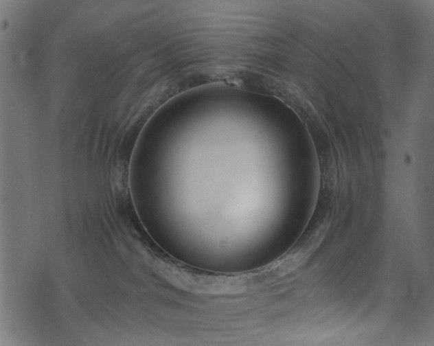 X0000073920044200608181100