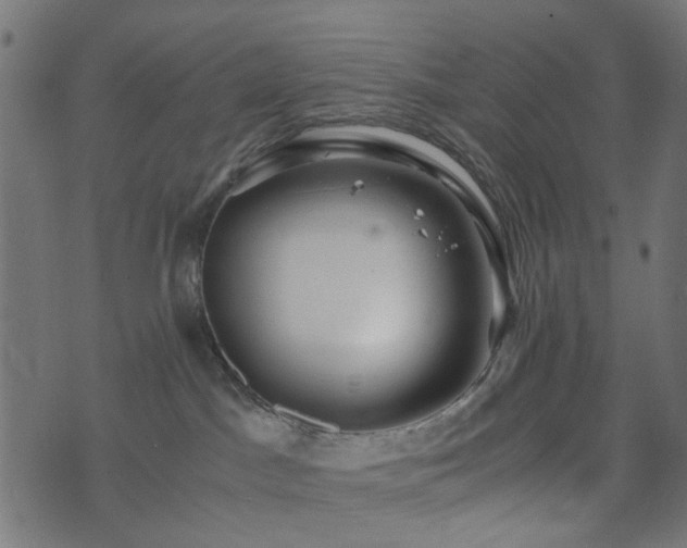 X0000073920045200608181100